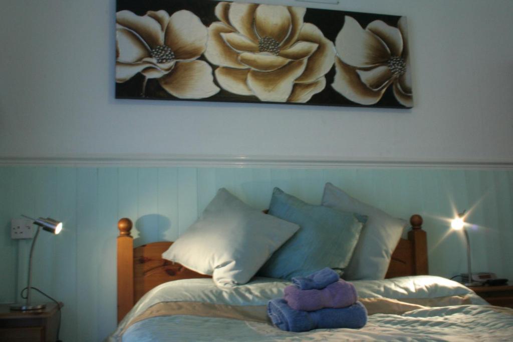 Devon View Guesthouse סוואנסי חדר תמונה